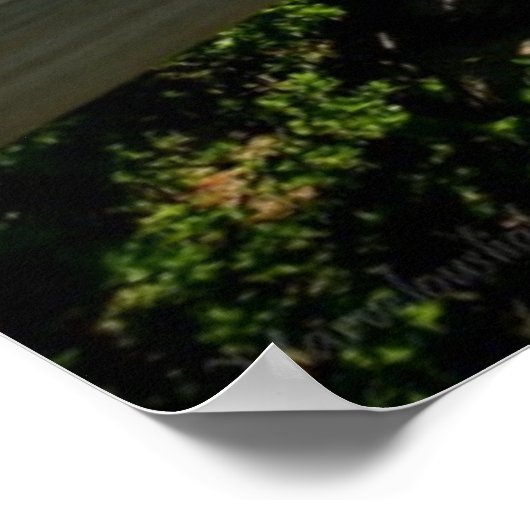 Beach Dock Poster, Kaapstad, Zuid-Afrika Poster (Hoek)