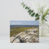 Beach Driftwood Briefkaart (Staand voorkant)