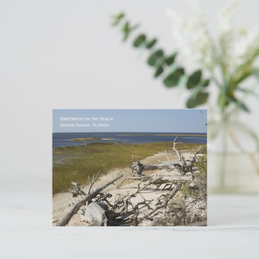 Beach Driftwood Briefkaart (Staand voorkant)