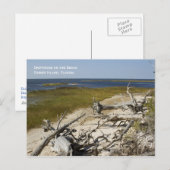 Beach Driftwood Briefkaart (Voorkant / Achterkant)