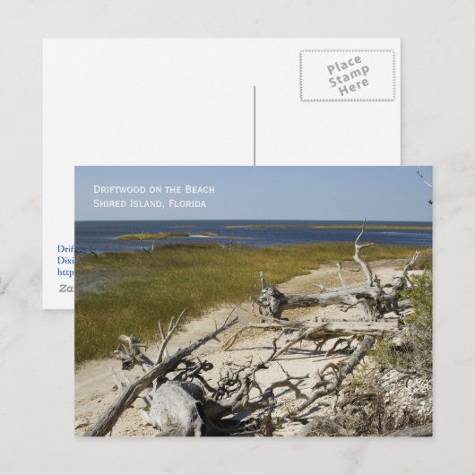 Beach Driftwood Briefkaart (Voorkant / Achterkant)
