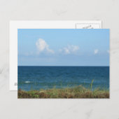 Beach dune with blue water and sky, Florida Briefkaart (Voorkant / Achterkant)