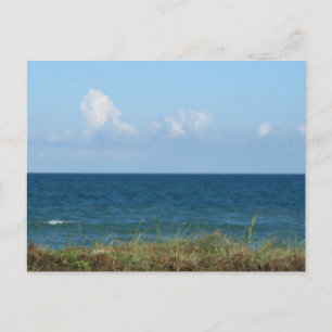 Beach dune with blue water and sky, Florida Briefkaart