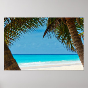 Beach en Palm Trees Poster