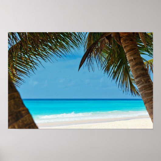 Beach en Palm Trees Poster (Voorkant)