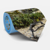 Beach expectations, Stropdas (Opgerold)