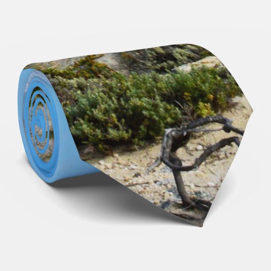 Beach expectations, Stropdas (Opgerold)