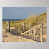 Beach fence in the dunes poster (Voorkant)