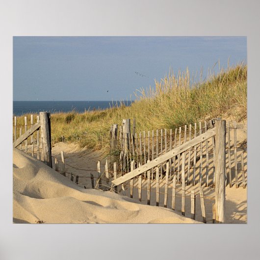 Beach fence in the dunes poster (Voorkant)