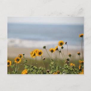 Beach Flowers op Galveston Island Briefkaart