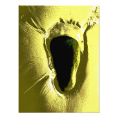 BEACH FOTO AFDRUK (Voorkant)