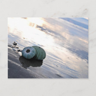 Beach foto briefkaart
