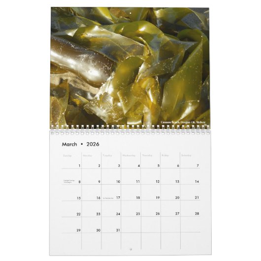 Beach fotografie kalender (Mar 2026)