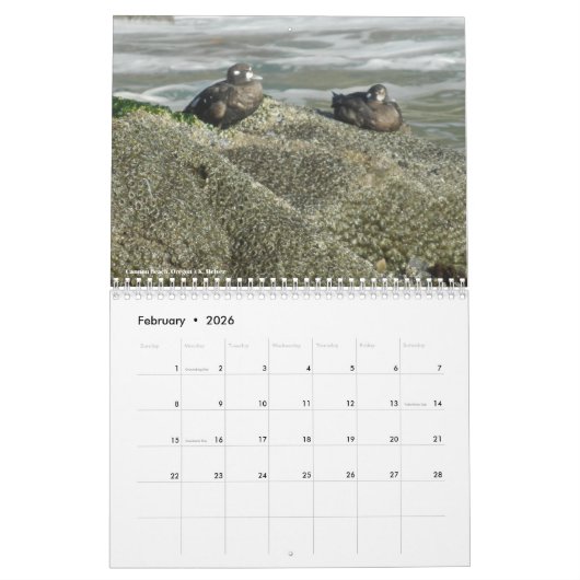 Beach fotografie kalender (Feb 2026)