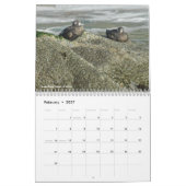 Beach fotografie kalender (Feb 2027)