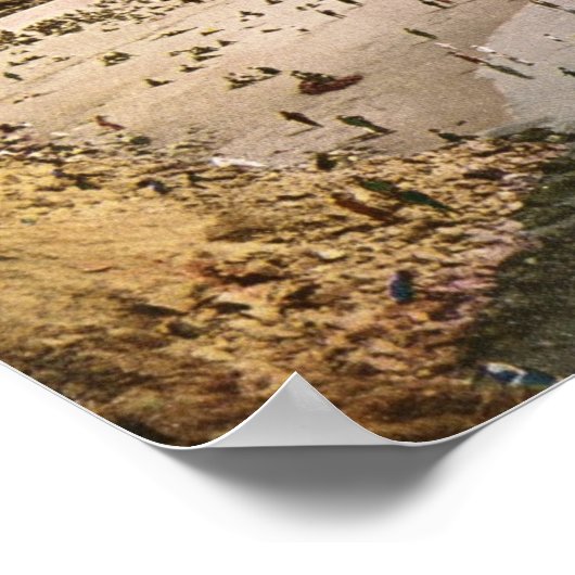 Beach from Cliff House, San Francisco  Poster (Hoek)