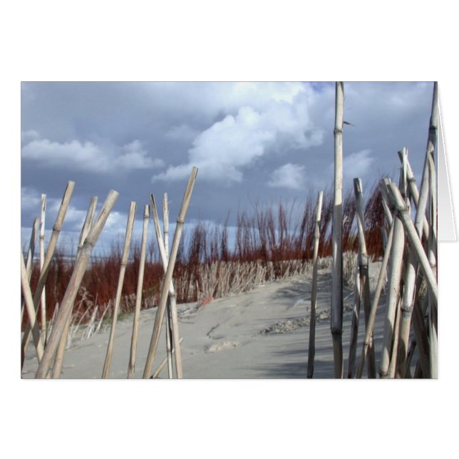 Beach Fun (Voorkant Horizontaal)