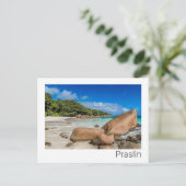 Beach Gift Praslin Seychellen Island Anse Lazio Feestdagenkaart (Staand voorkant)