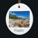 Beach Gift Praslin Seychellen Island Anse Lazio Keramisch Ornament<br><div class="desc">Het ontwerp van het strand op het eiland Praslin Seychellen Anse Lazio voor vakantie. Het eiland Seychellen op het eiland Praslin, het souvenir van de Indische Oceaan, om op La Digue en Anse Lazio te reizen. Praslin strandkunst met kokosnoot voor Mahe en vakantiegangers en backpackers. Het strand van Praslin Anse...</div>