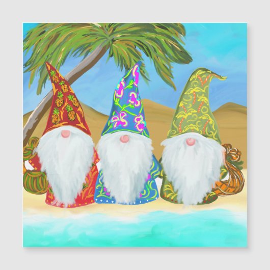 BEACH GNOMES (Voorkant)