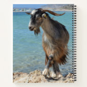 Beach Goat Notitieboek (Achterkant)