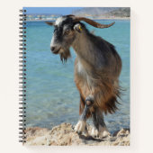 Beach Goat Notitieboek (Voorkant)