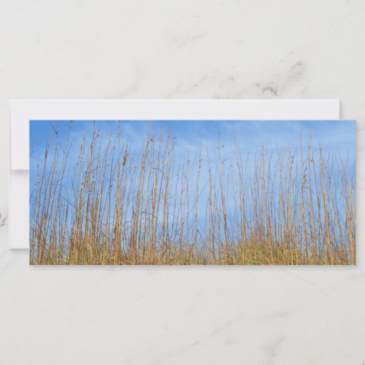 Beach Grass by Shirley Taylor (Achterkant)