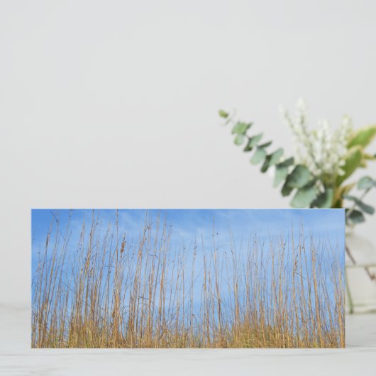 Beach Grass by Shirley Taylor (Staand voorkant)