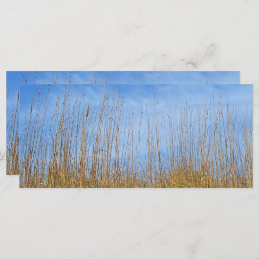 Beach Grass by Shirley Taylor (Voorkant / Achterkant)