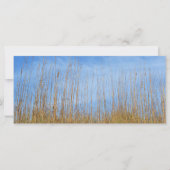 Beach Grass by Shirley Taylor (Voorkant)