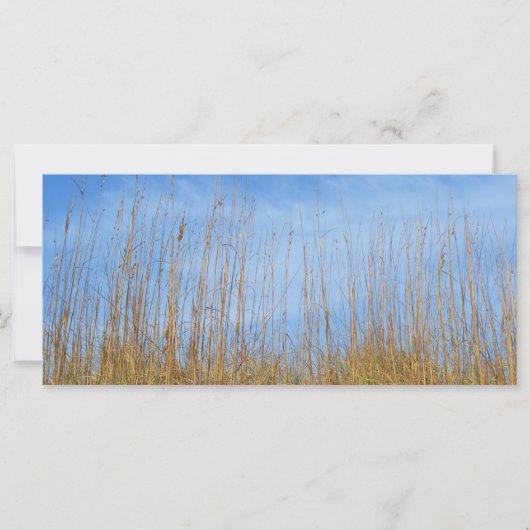 Beach Grass by Shirley Taylor (Voorkant)