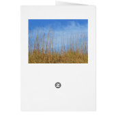 Beach Grass by Shirley Taylor (Achterkant)