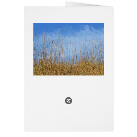 Beach Grass by Shirley Taylor (Achterkant)