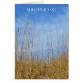 Beach Grass by Shirley Taylor (Voorkant)