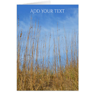 Beach Grass by Shirley Taylor