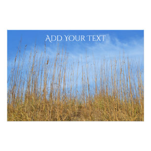 Beach Grass by Shirley Taylor Foto Afdruk
