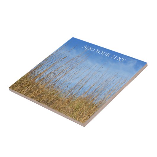 Beach Grass by Shirley Taylor Tegeltje (Zijkant)