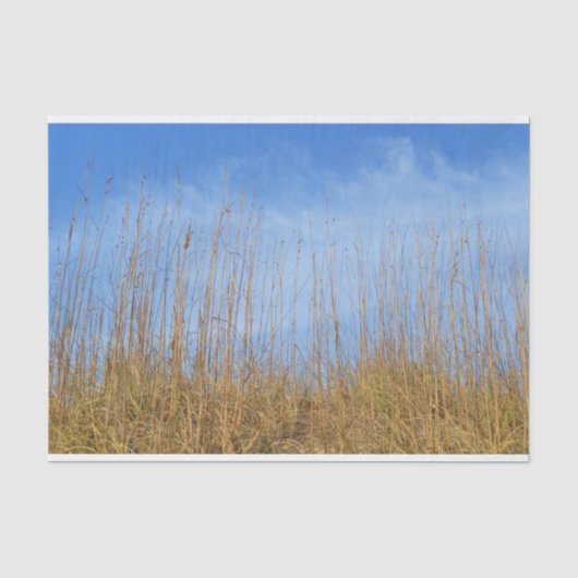 Beach Grass by Shirley Taylor Tissuepapier (Voorkant)