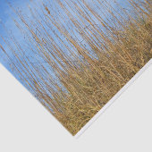 Beach Grass by Shirley Taylor Tissuepapier (Detail)