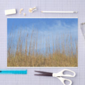 Beach Grass by Shirley Taylor Tissuepapier (Craft)