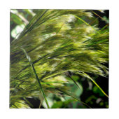 Beach Grass in the Breeze Tegeltje (Voorkant)