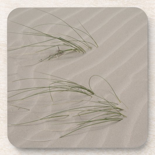 Beach Grass Onderzetter (Voorkant)