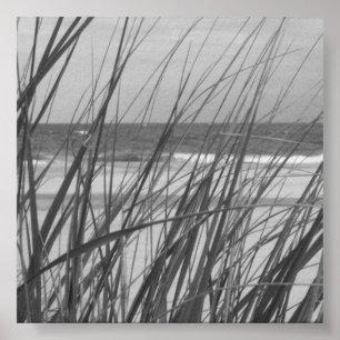 BEACH GRASS POSTER