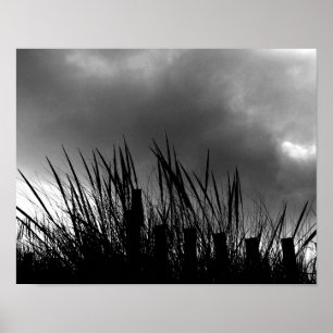 Beach Grass Poster