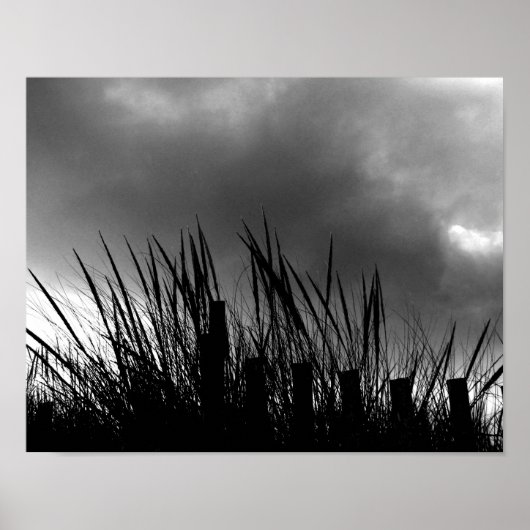 Beach Grass Poster (Voorkant)