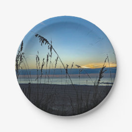  Beach Grass Sunrise Foto Papieren Bordje