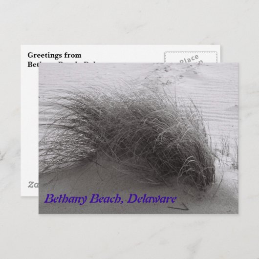 Beach Grasss Bethany Briefkaart (Voorkant / Achterkant)