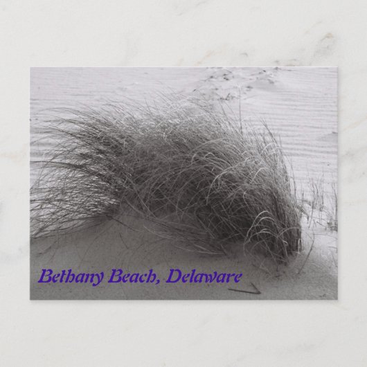 Beach Grasss Bethany Briefkaart (Voorkant)