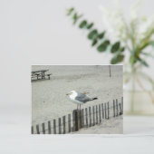 Beach Gull Briefkaart (Staand voorkant)