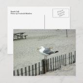 Beach Gull Briefkaart (Voorkant / Achterkant)